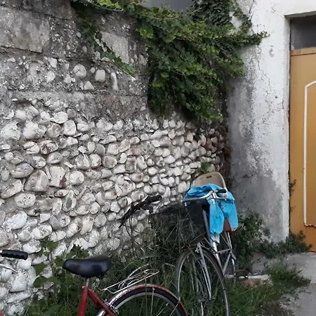 The Old One Shkodër